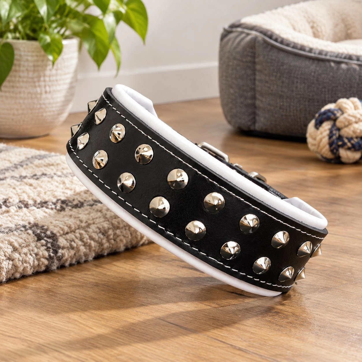 "Boston" collar — Collars, leads and harnesses