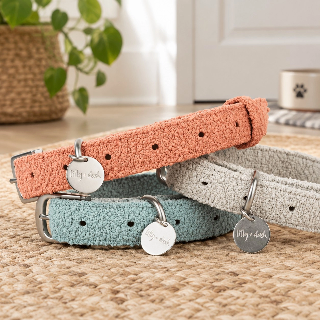 collars — Collars, leads and harnesses