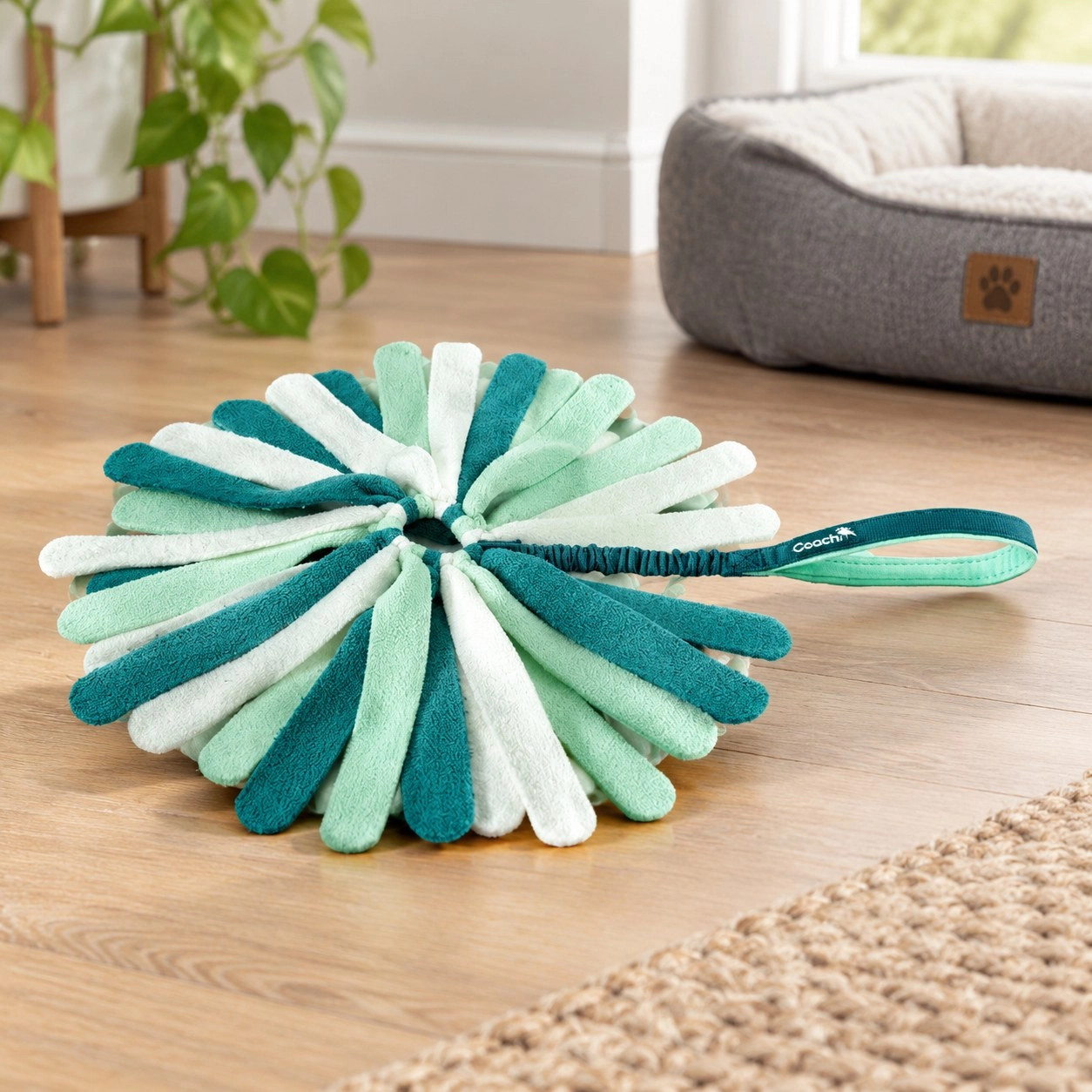 Jouet pour chien Coachi PUPPY & MINI TUGGI SPIDER Green