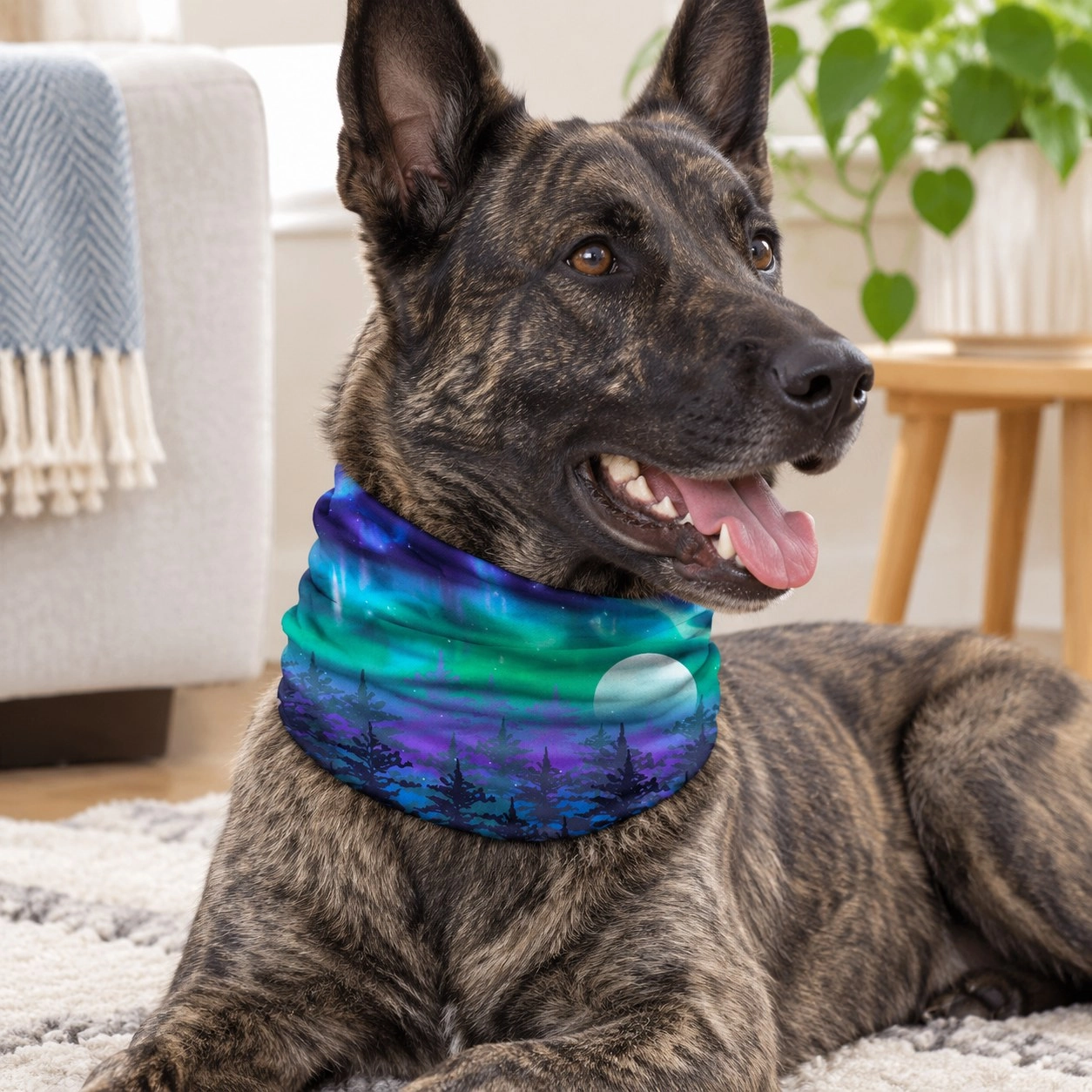 Northern Lights Pup Scruff — Bandanas, bows and coats