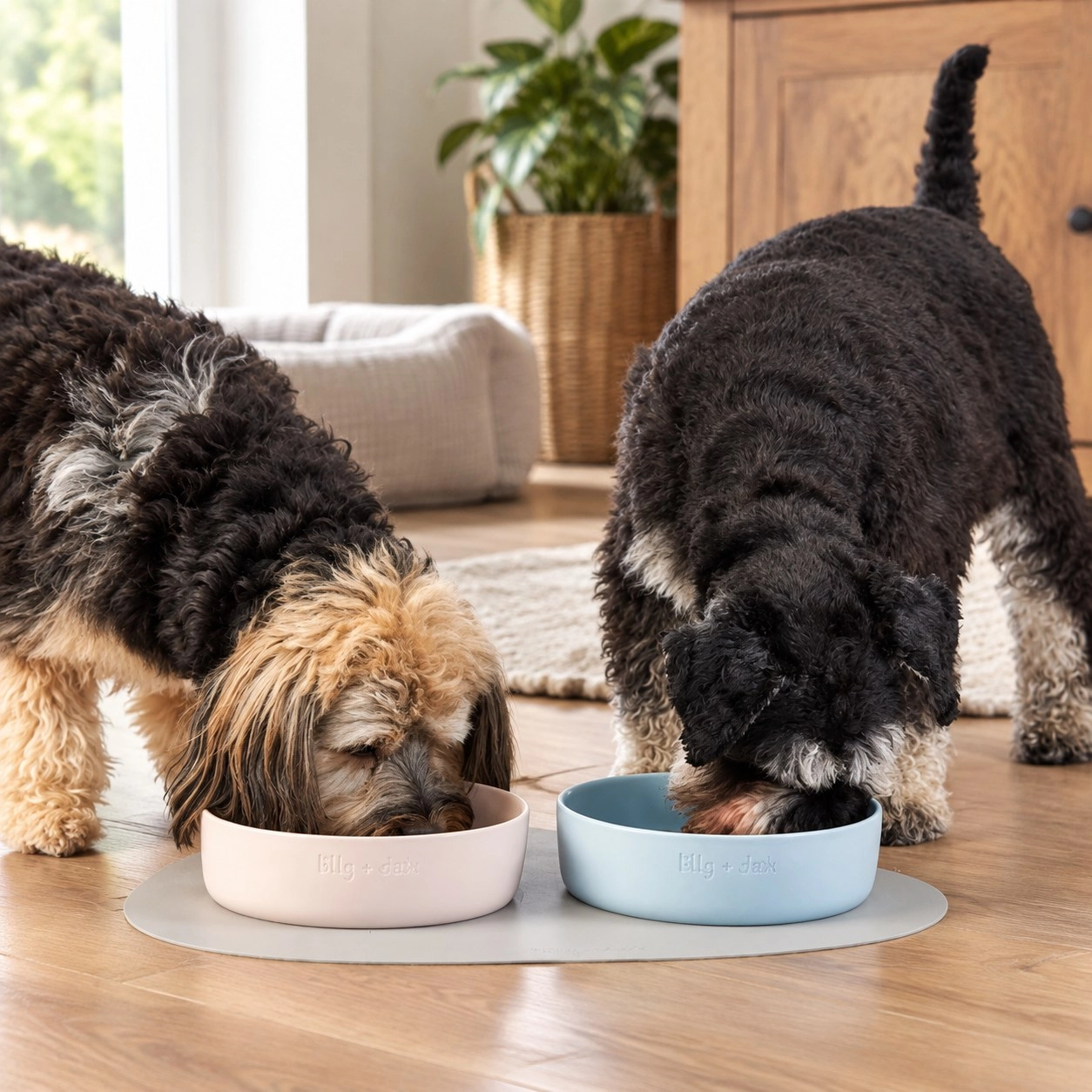 Lilly+Dash gamelles pour animaux