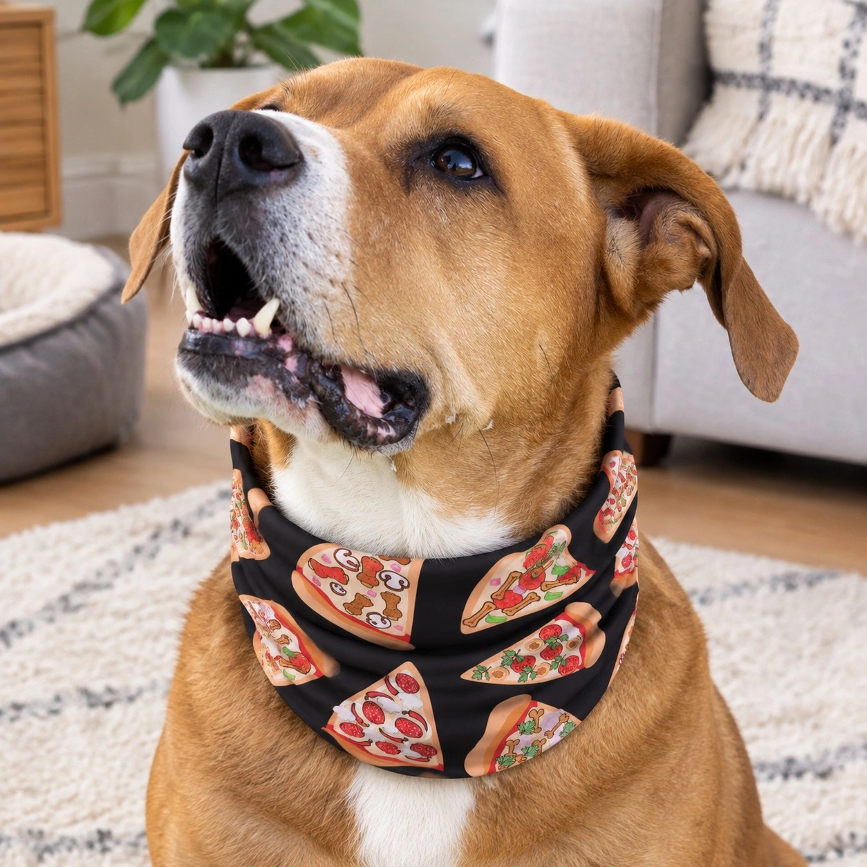 Pup Scruffs Pizza Luva Pup Scruff — Vêtements pour chiens