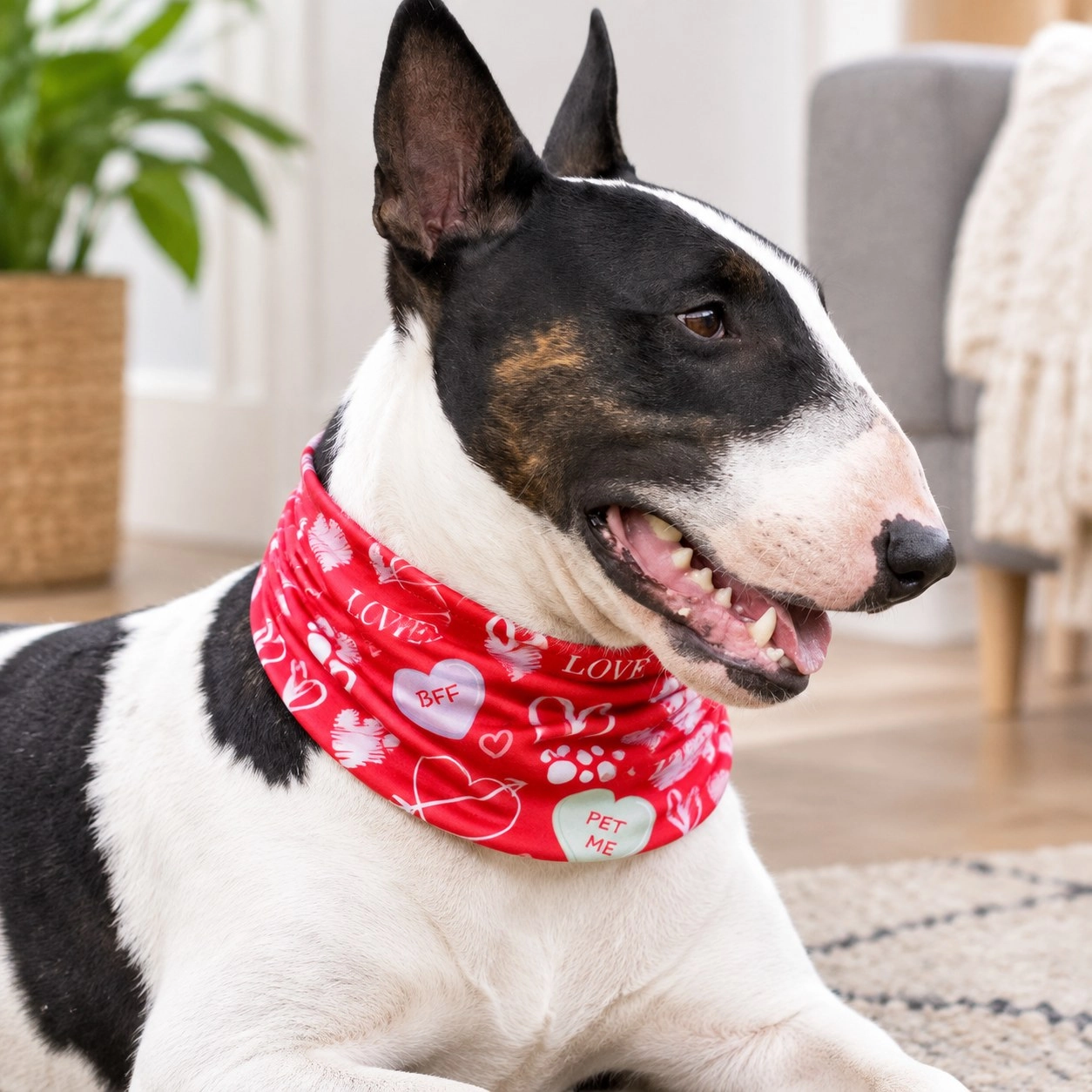 Pup Scruffs Puppy Love tour de cou pour chien — Vêtements pour chiens