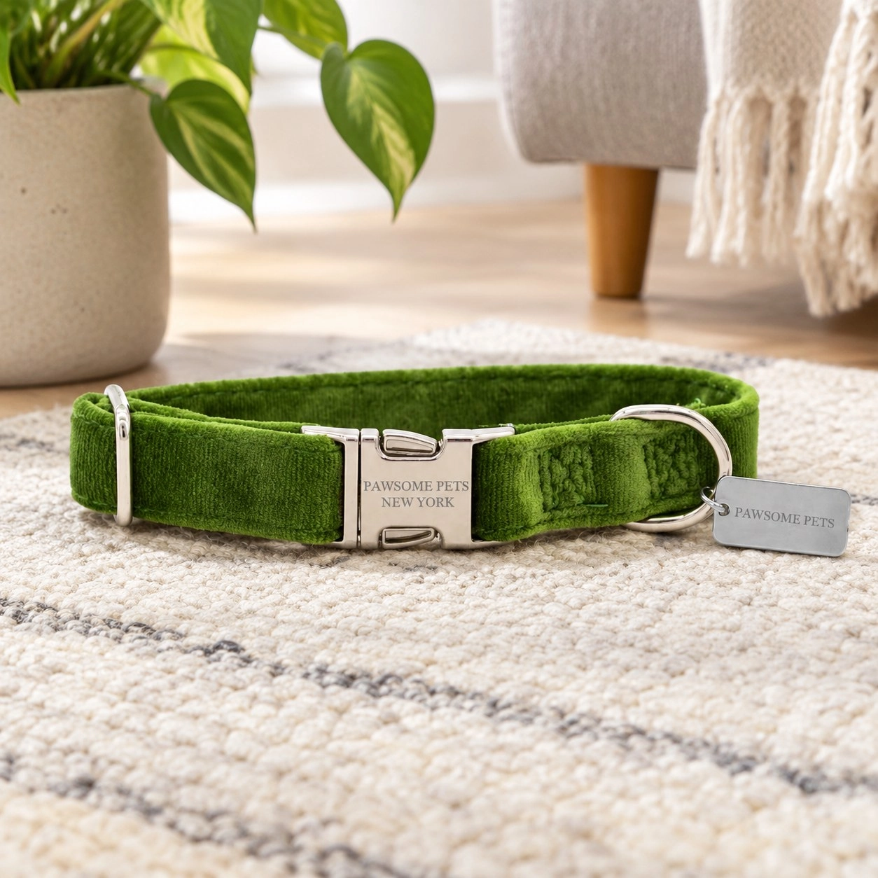 Pawsome Pets New York Collier pour petit chien et chat - Velours vert olive