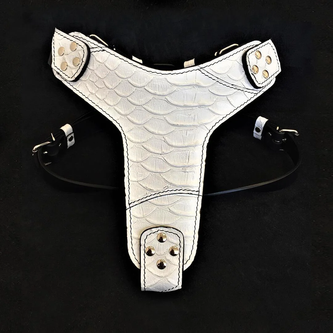 Bestia The ''Dragon Scale'' harness — Colliers, laisses et harnais