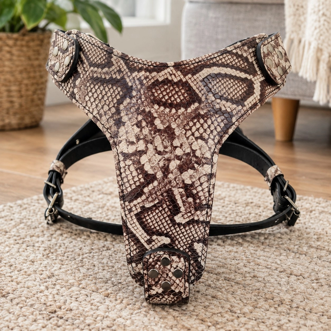 The ''Rock Python'' harness — Collars, leads and harnesses