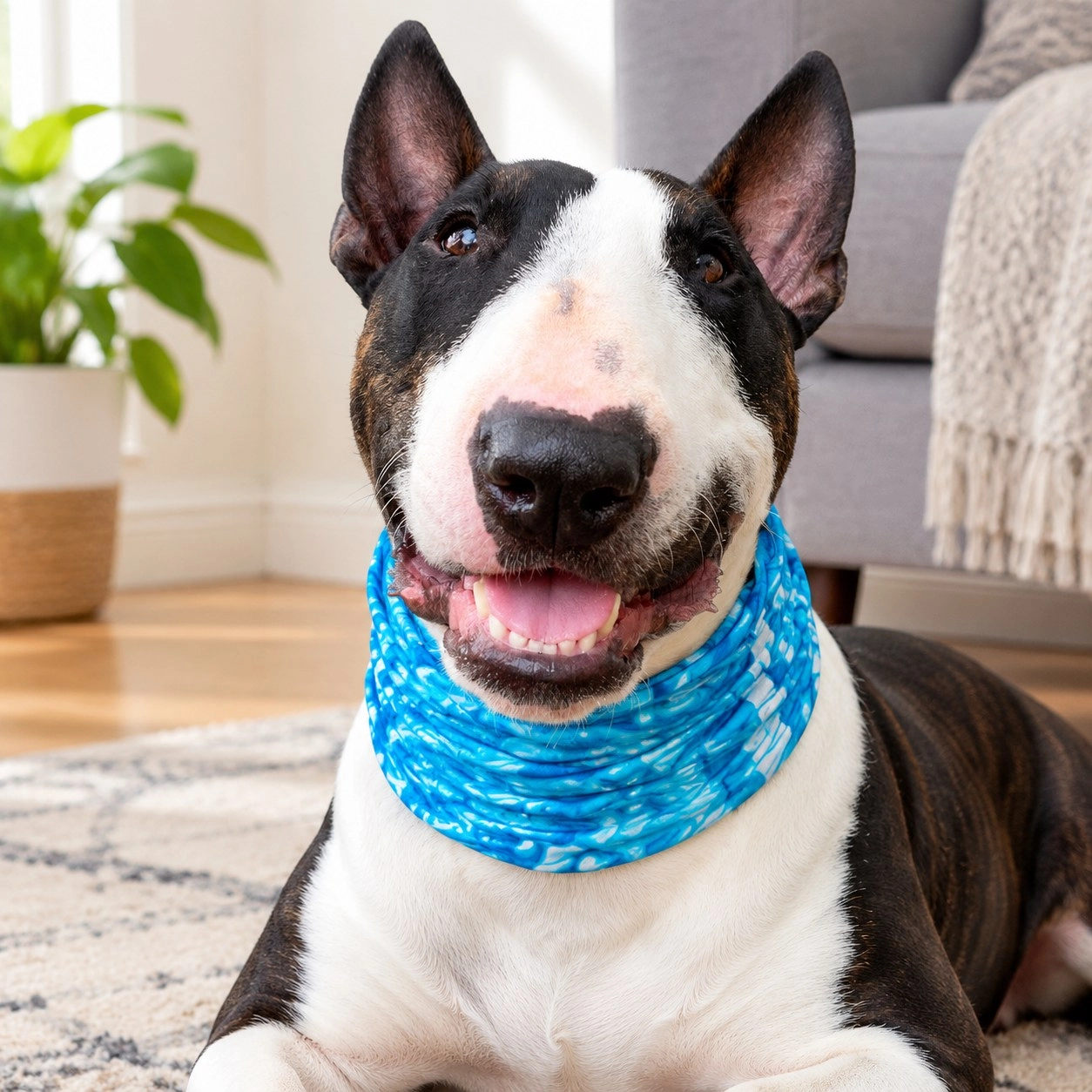 Pup Scruffs Tour de cou pour chien Water Dog — Vêtements pour chiens